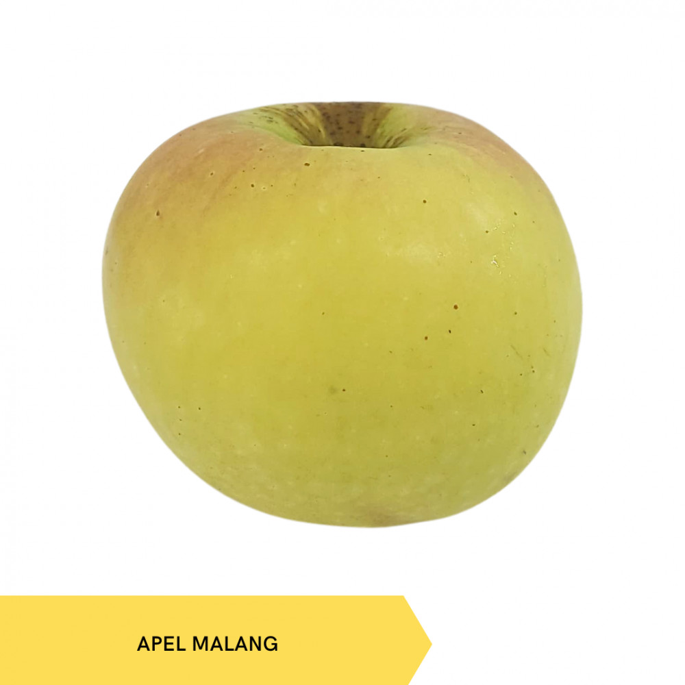APEL MALANG