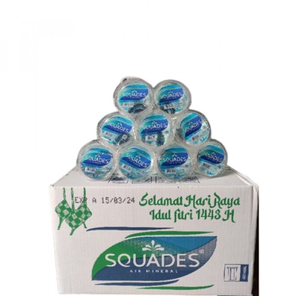 SQUADES WATER 240ML BOX/48 -