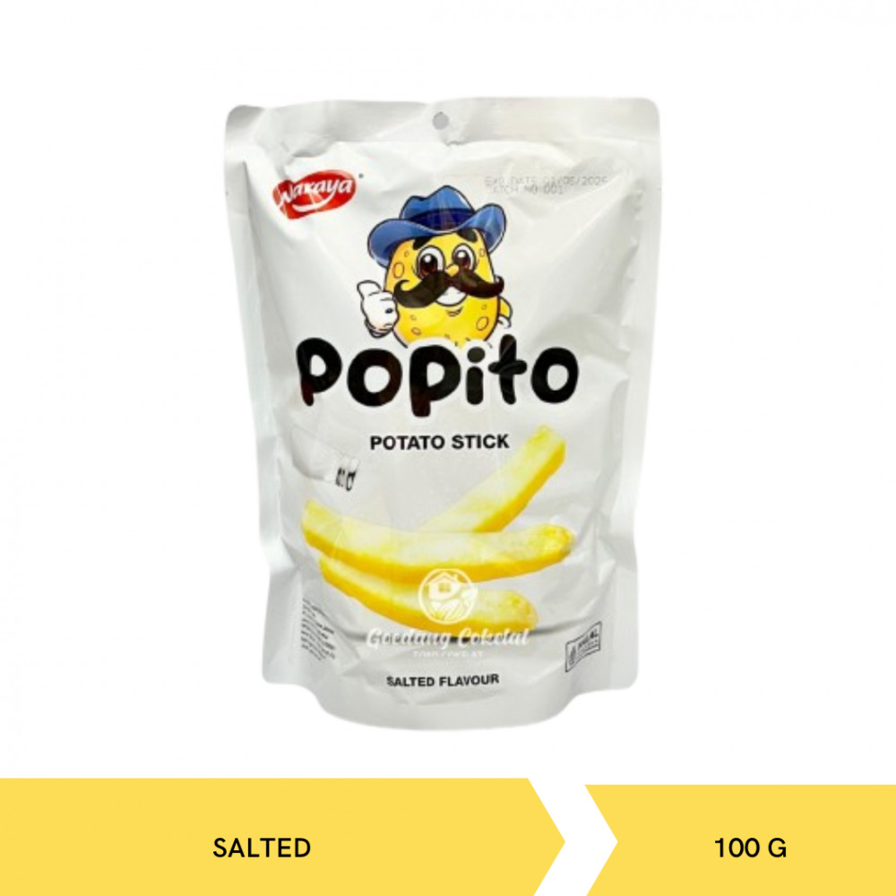 POPITO POTATO STICK SALTED 100GX20